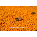 ISO- und GMP-Fertigung liefern Schüttgut-Gelee-Pulver